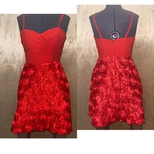 RED DRESS EVA BRAZZI NWT